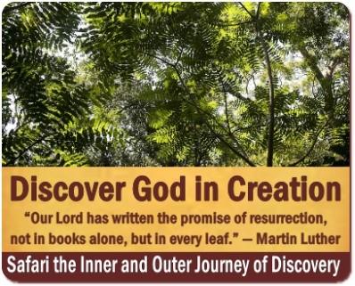 Christian Safaris-Discover the Creation of God on Safari in Uganda