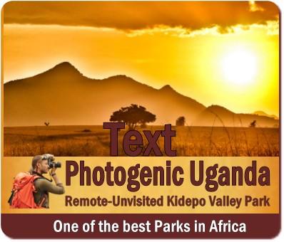 Best Kidepo Valley Park Wildlife Safaris - Uganda 