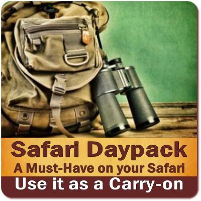 Going ocn Safari while your Luggage is Lost - Missing - Delayed