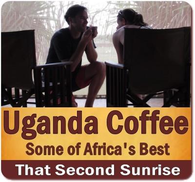 Great Tasting Arabica Coffee grown in Uganda