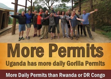 Comparing Gorilla Trekking in Uganda with Rwanda and DR Congo