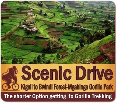 5-Day Luxury Gorilla-Golden Monkey-Batwa Trail-Volcano Climbing Safari