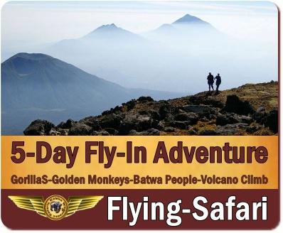 Incredible Gorilla Trekking Safaris in Mgahinga Gorilla Park in Uganda