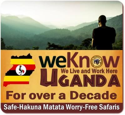 Guide to a Gorilla Habituation Experience Safari in Uganda