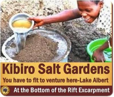 Kibiro Salt Gardens