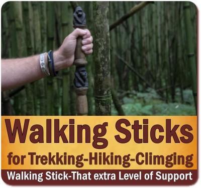 The Two Must-Haves for Gorilla Trekking are a Porter and a Walking Stick