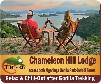 Chameleon Hill Lodge - there is no other Lodge like it in Uganda