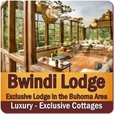 Bwindi Lodge in the Buhoma Area of Bwindi Impenetrable Forest