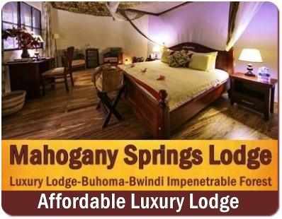 Mahogany Springs Lodge - Buhoma - Bwindi Forest