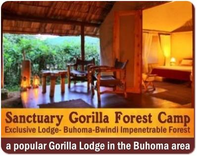 Sanctuary Gorilla Forest Camp