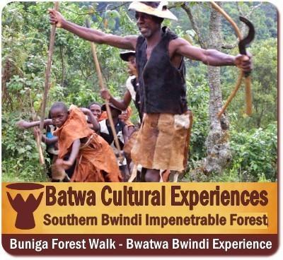 Value+ 7-Day Twice Gorilla Trekking Plus Hiking Safari through Bwindi Forest