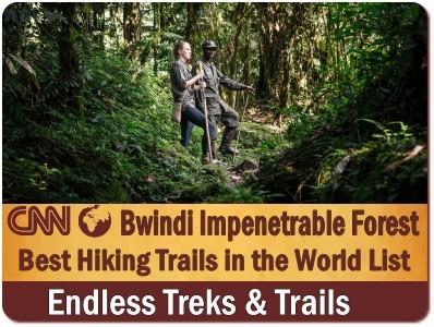 Bwindi Impenetrable Forest is a UNESCO World Heritage Site